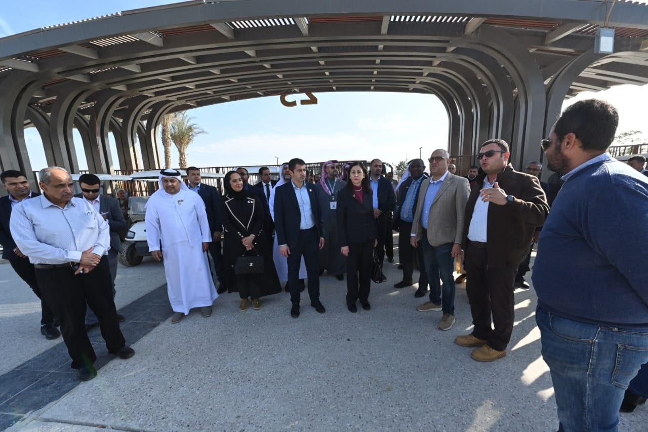 16714570231 - عالم الفلوس