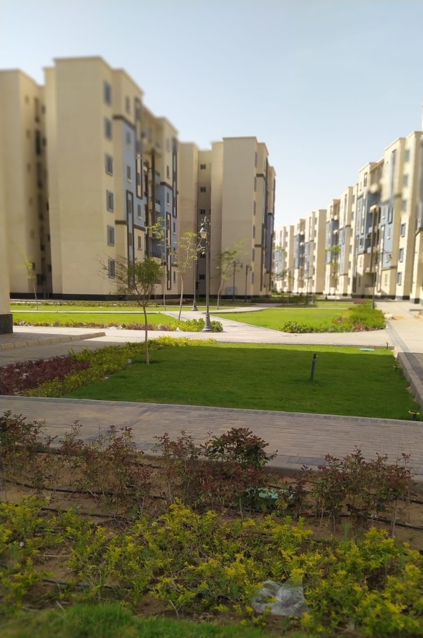 2 - عالم الفلوس