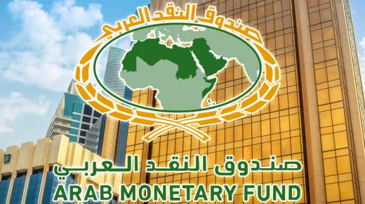 “عن بُعد”.. صندوق النقد ينظم الاجتماع السنوي لوكلاء وزارات المالية في الدول العربية