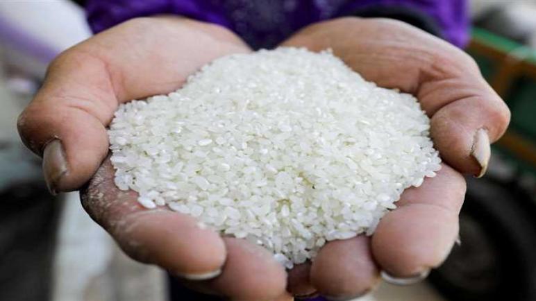 الغرفة التجارية: 25% انخفاضا في أسعار الأرز ومرشحة لاستمرار الانخفاض