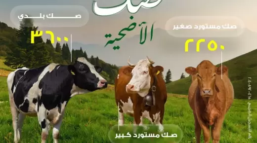 بالتعاون مع جمعية الأورمان.. اشتري صك الأضحية من خلال فروع ميد بنك