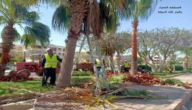 بدء تنفيذ مخطط تطوير وتأهيل محاور الطرق بمدينة النوبارية الجديدة