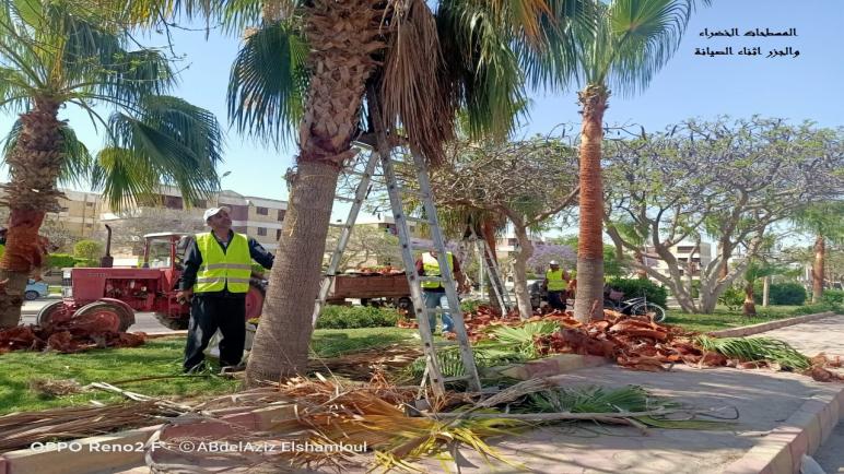 بدء تنفيذ مخطط تطوير وتأهيل محاور الطرق بمدينة النوبارية الجديدة