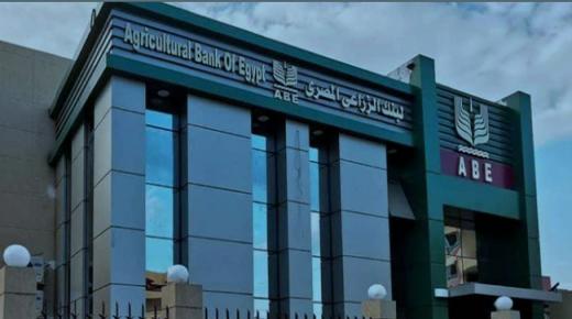 ارتفاع تمويلات المحاصيل الزراعية بالبنك الزراعي المصري إلى 7.752 مليار جنيه