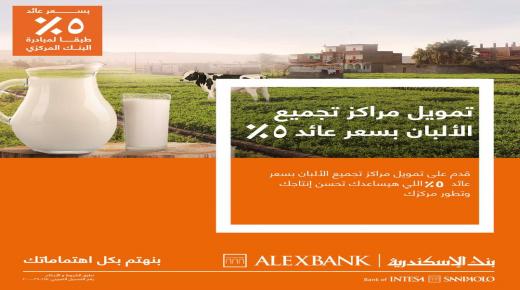 من بنك الإسكندرية.. مزايا وتفاصيل قرض تمويل مراكز تجميع الألبان بعائد 5%