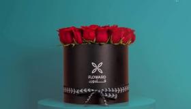 أحدث عروض لعملاء CIB Prime.. خصم 10% على المشتريات من Floward