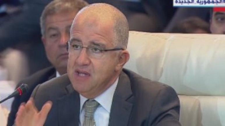 محمد السويدى: هدفنا توفير البيئة التشريعية والعمالة وإتاحة الخدمات للمستثمرين