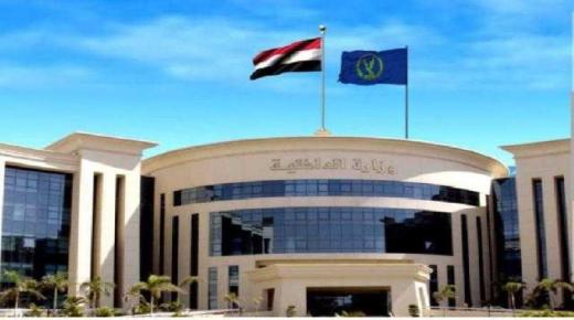خلال تأسيس الشركات.. الداخلية تعلن منح المستثمرين الأجانب إقامة لمدة عام