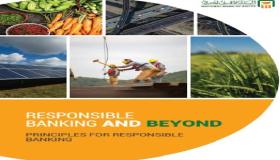 البنك الأهلى المصرى يصدر أول تقرير شامل عن مبادئ الصيرفة المسئولة