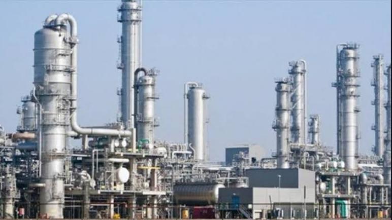 لـ 6.9 مليار جنيه.. ارتفاع الاستثمارات طويلة الأجل بشركات القابضة الكيماوية