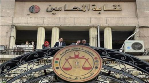بمناسبة عيد الميلاد.. “المحامين” تقرر صرف منحة استثنائية 500 جنيه للمستحقين للمعاشات
