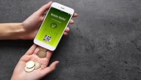 “تنظيم الاتصالات”: وصول عدد المحافظ الإلكترونية في مصر إلى 15.5 مليون