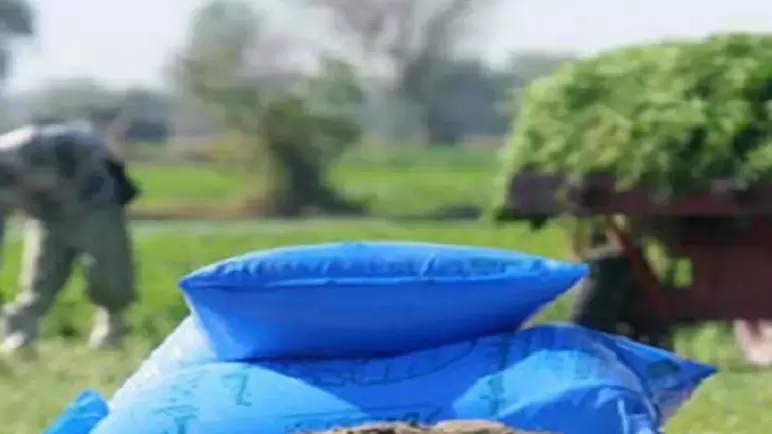 “الإحصاء”: صادرات الأسمدة المصرية بلغت 2.43 مليار دولار حتى سبتمبر الماضى