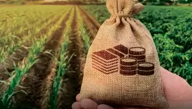 من البنك الزراعي المصري.. كيف تحصل على قرض المحاصيل الزراعية بفائدة 5%