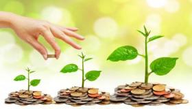 “الرقابة المالية”: إجمالي المستفيدين من التمويل متناهي الصغر بلغ 3.5 مليون مستفيد